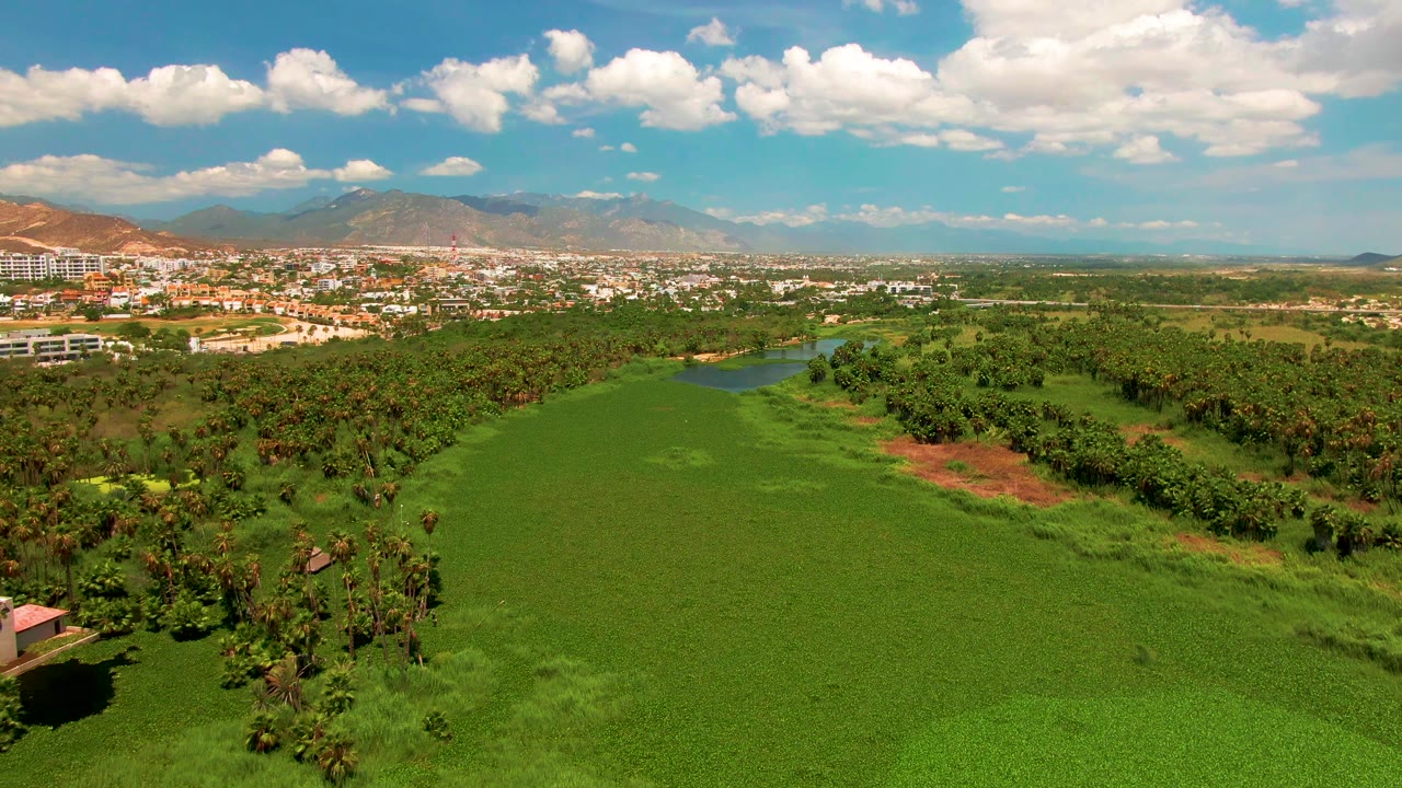 Aerial view of a green field bordered by trees under scattered clouds.