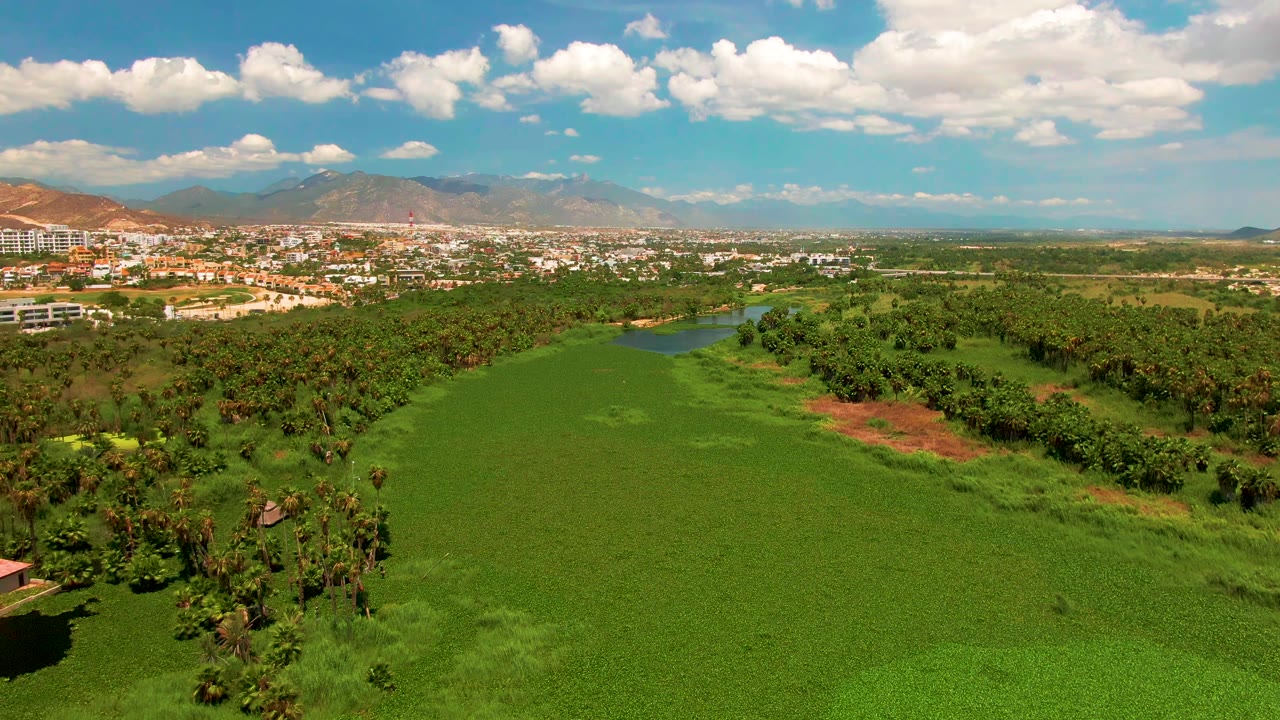 Elevated view in San Jose Del Cabo, Baja California Sur showing the green field, dense palms and trees, distant buildings, mountains, scattered clouds, and no visible people.