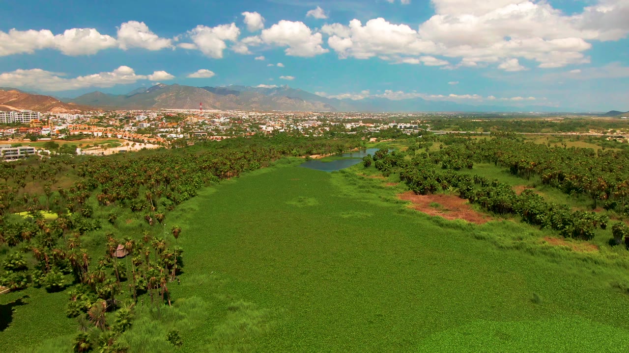 San Jose Del Cabo aerial frame with the field stretching across the foreground, a tree belt and water channel in the middle, city buildings to the left, mountains behind, and no visible people.