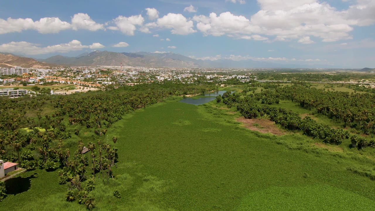 Wide aerial view in San Jose del Cabo showing a large green agricultural field, a river corridor, tree cover, distant city buildings, mountains, and no visible people.