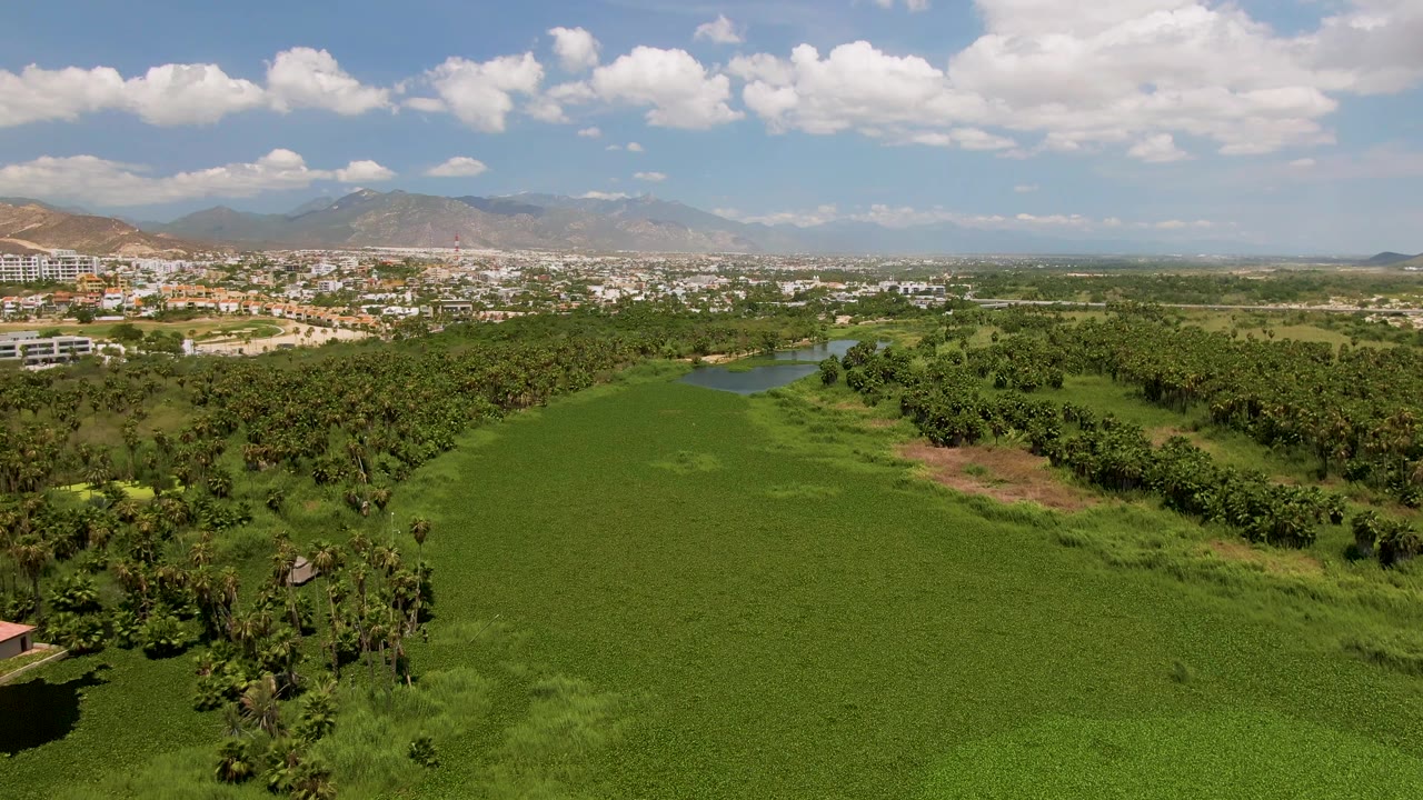 Aerial frame from San Jose del Cabo showing textured green farmland below, a band of trees and water through the center, and a distant urban area at the base of mountains, with no visible people.
