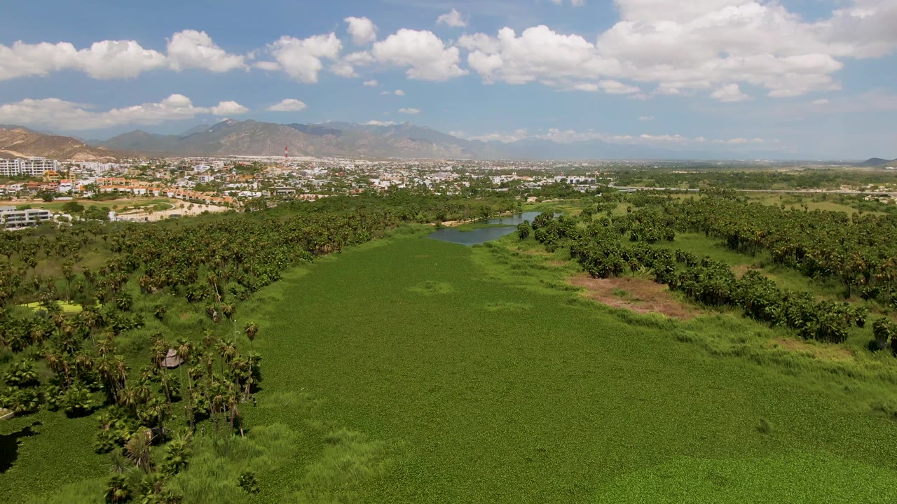 Aerial shot of river trees beside a broad green field and distant city.
