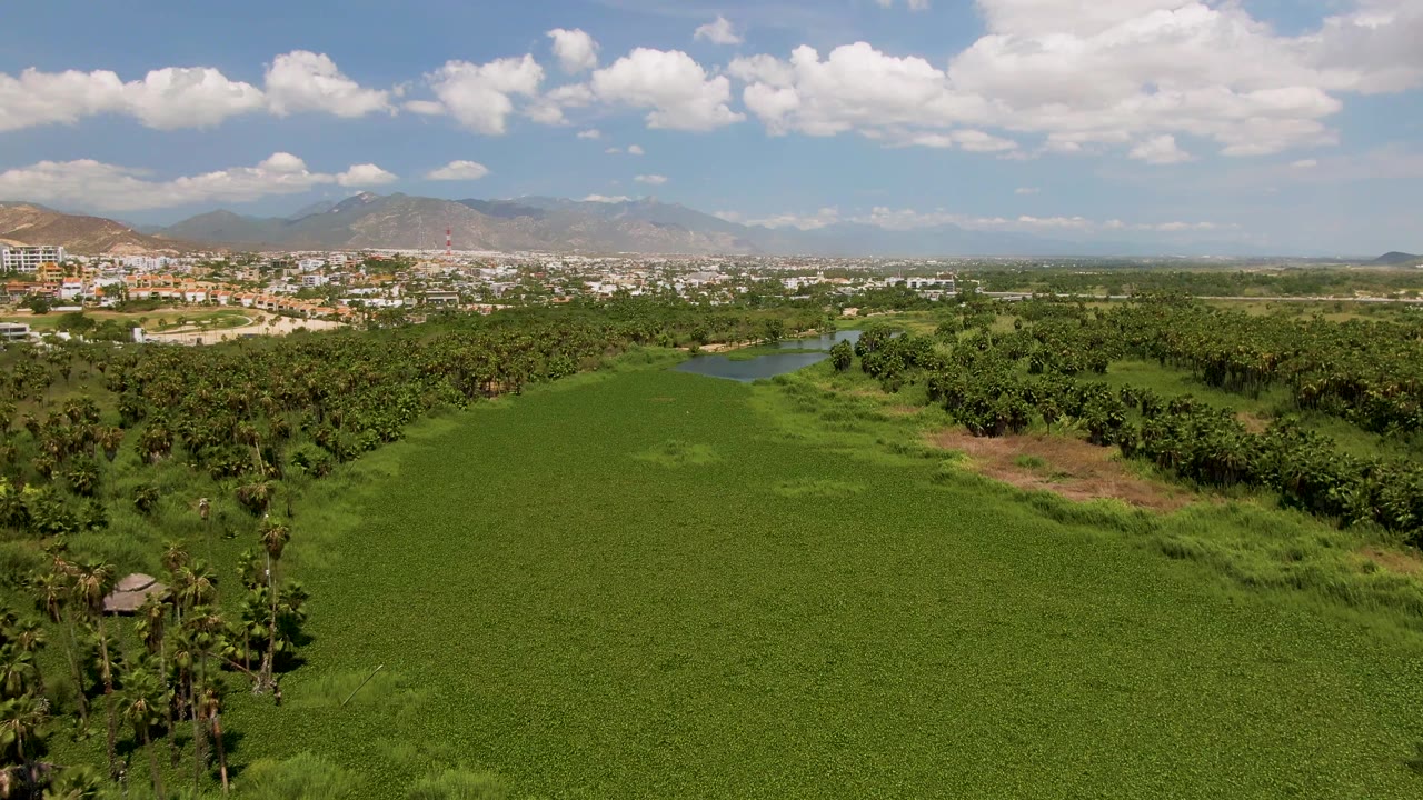 Aerial opening frame over a broad green field near San Jose Del Cabo, Mexico, with palms at the edges, a small structure at lower left, distant town buildings, mountains, and no visible people.