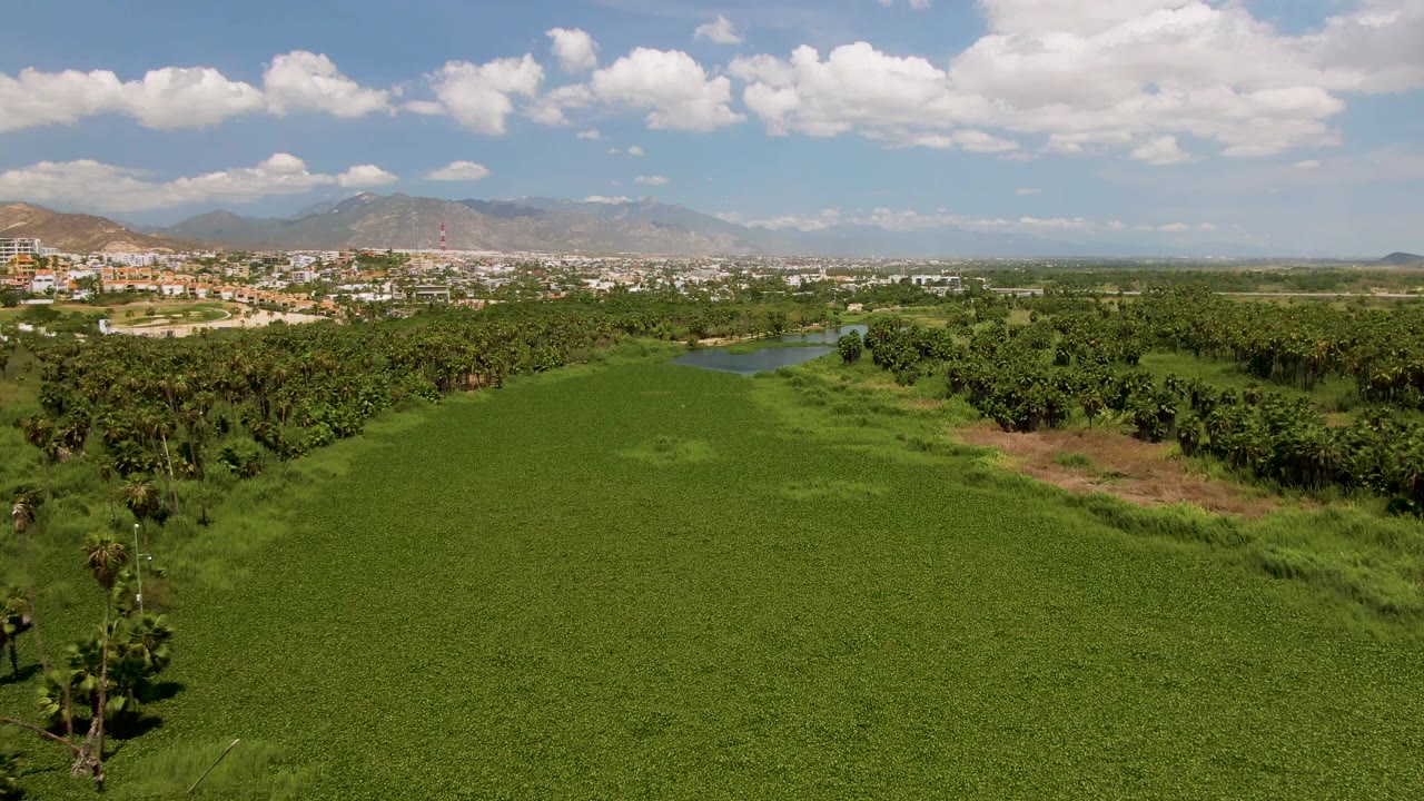 High aerial frame in San Jose Del Cabo, Mexico, looking across a lush green field bordered by palms, with the water feature and town set below hazy mountains and no visible people.