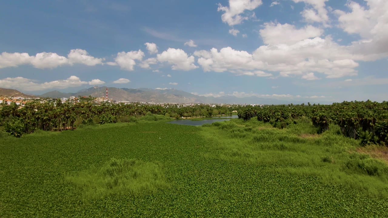 Wide aerial frame of a green field near San Jose Del Cabo, Mexico, with trees, a small water channel, distant mountains, and no clearly identifiable person.