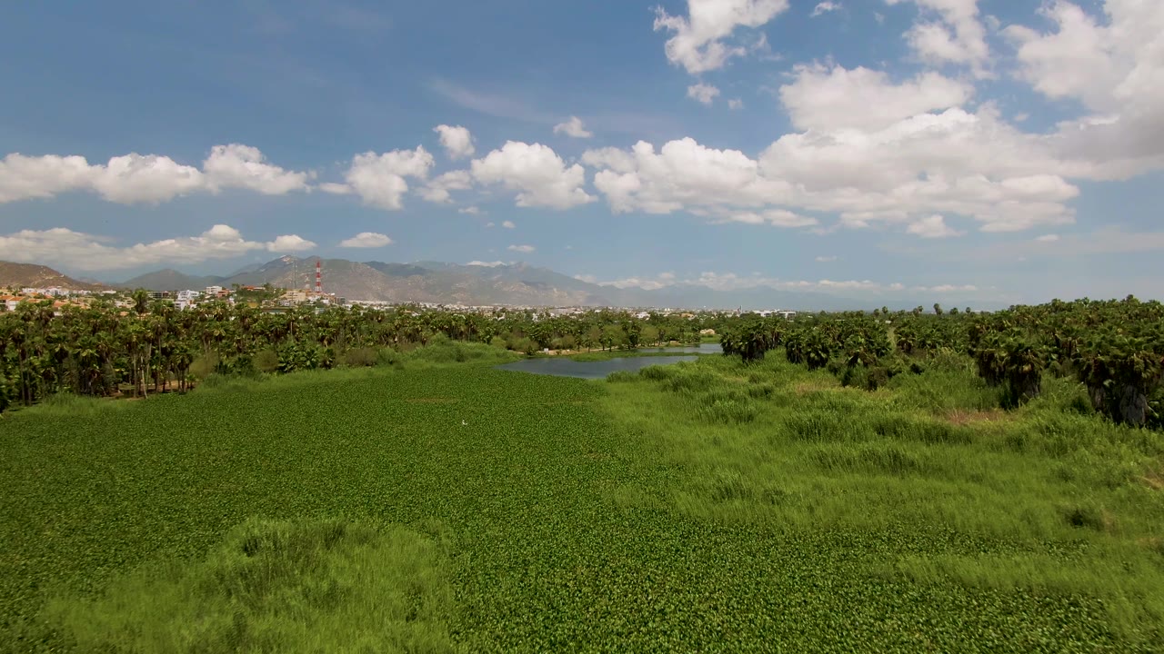 Aerial view over green vegetation with trees, water, mountains, and scattered clouds.