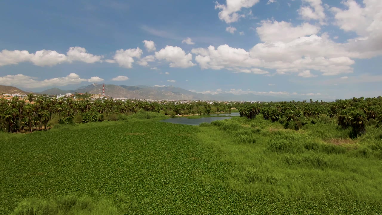 Green rural field in San Jose Del Cabo, Mexico, fills the foreground, with a water channel, dense trees, distant mountains, and a partly cloudy blue sky behind it.