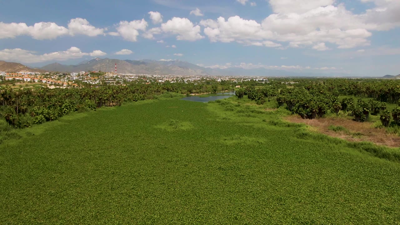 Wide elevated view of a green field in San Jose del Cabo with trees, a small water body, distant mountains, blue sky, and no visible people.