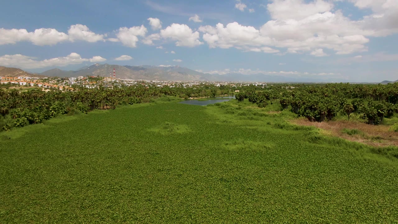 Lush green foreground field with tree line and mountains under clouds.