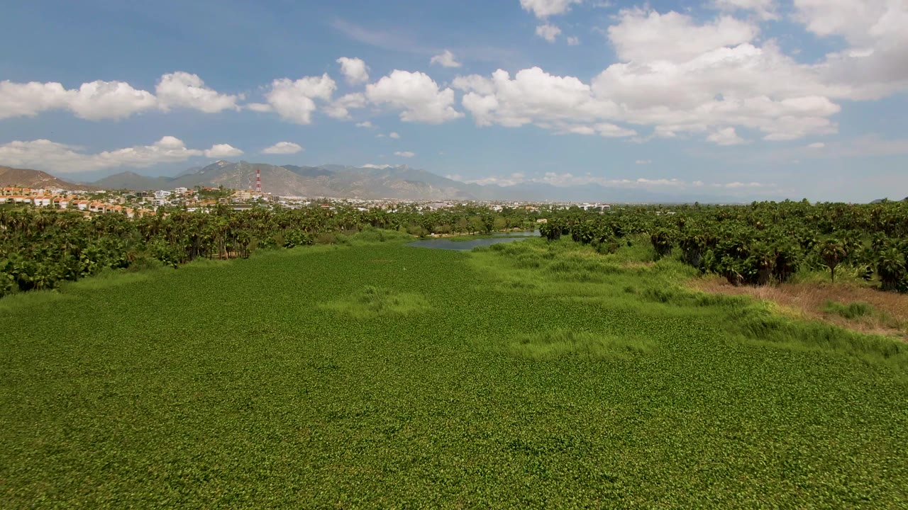 Wide aerial-style view in San Jose del Cabo where green field vegetation leads toward trees, a visible water strip, low buildings, mountains, and no visible people.