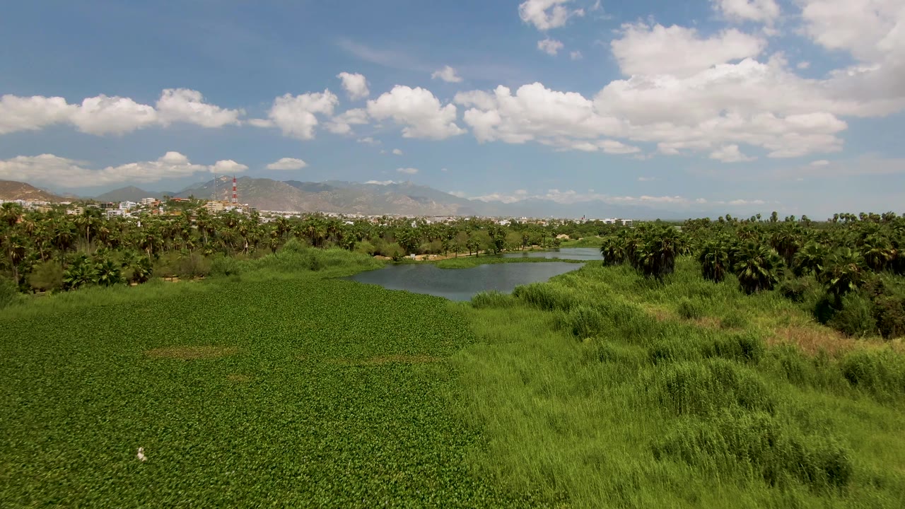 Wide green pond landscape with mountains and clouds