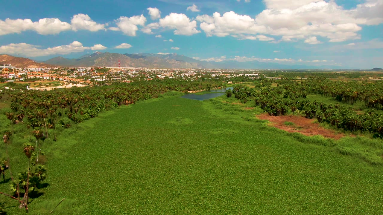 Wide aerial view over a green agricultural field in San Jose del Cabo, with a river beyond the trees, a distant town, mountains, scattered clouds, and no visible people.