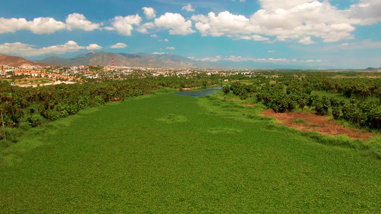 High aerial view in San Jose del Cabo with the crop field across the lower frame, dense trees and water in the middle distance, town buildings near the mountains, and no visible people.