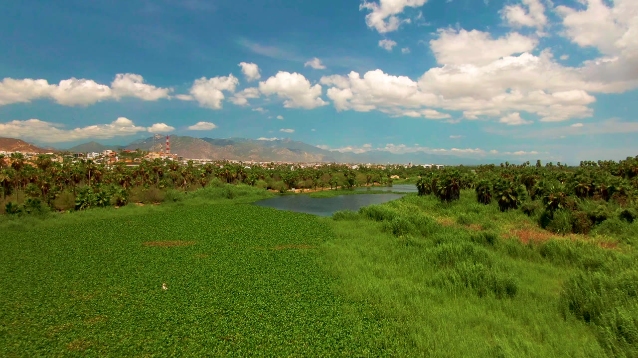 Second frame holds the elevated San Jose del Cabo field view, with pond water at right, dense green vegetation, background palms, distant hills, and no visible people.