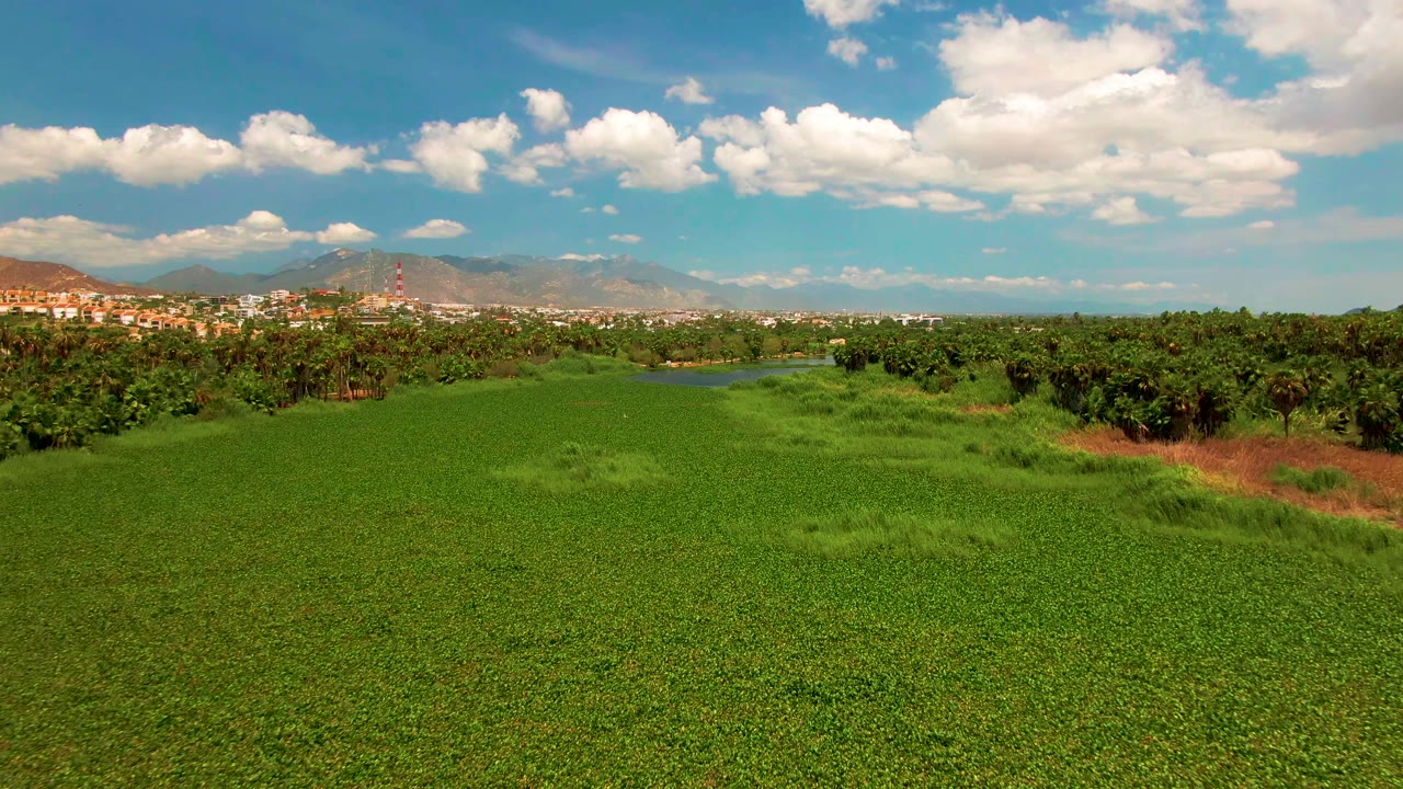 Wide green field in San Jose Del Cabo with low vegetation, a distant town and mountains on the horizon, scattered white clouds overhead, and no visible people.