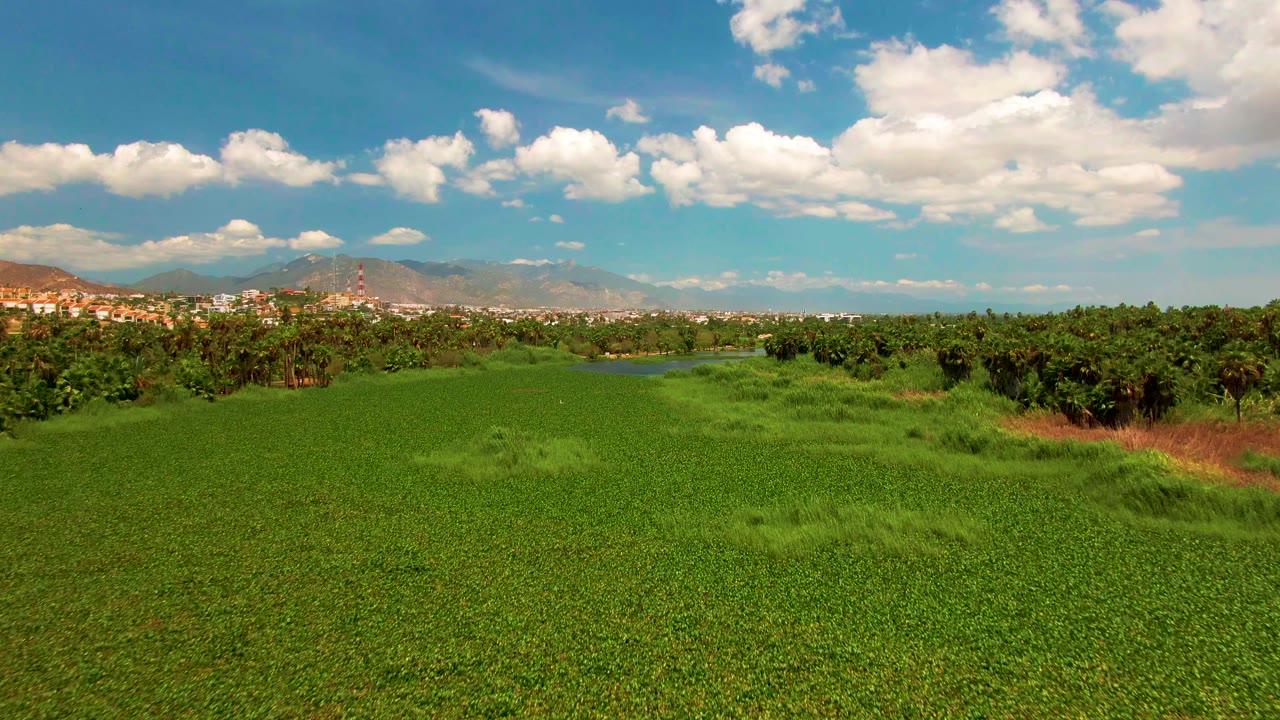Elevated view across a lush green field in San Jose Del Cabo, with thicker vegetation at the right edge, a distant town, mountains, blue sky, and no visible people.