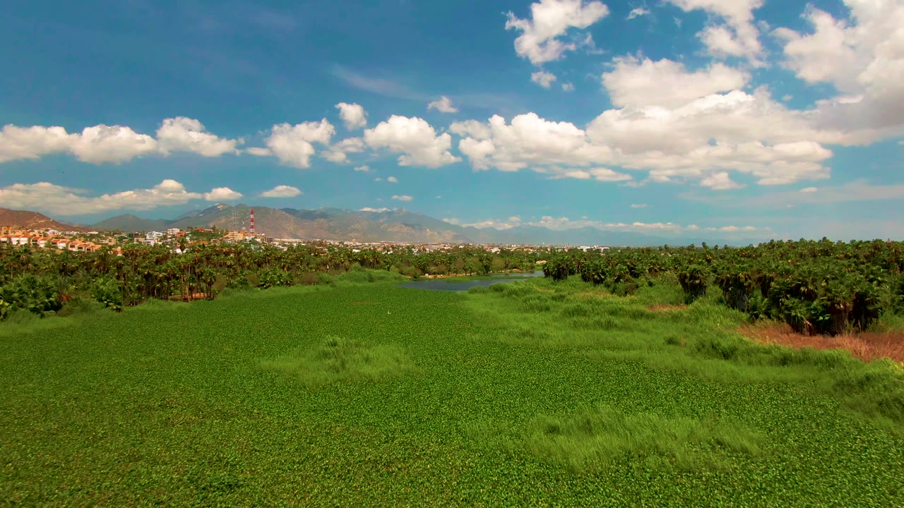 The frame shows a broad green field in San Jose Del Cabo, dark vegetation rows across the midground, town buildings near the horizon, mountain ridges, and no visible people.