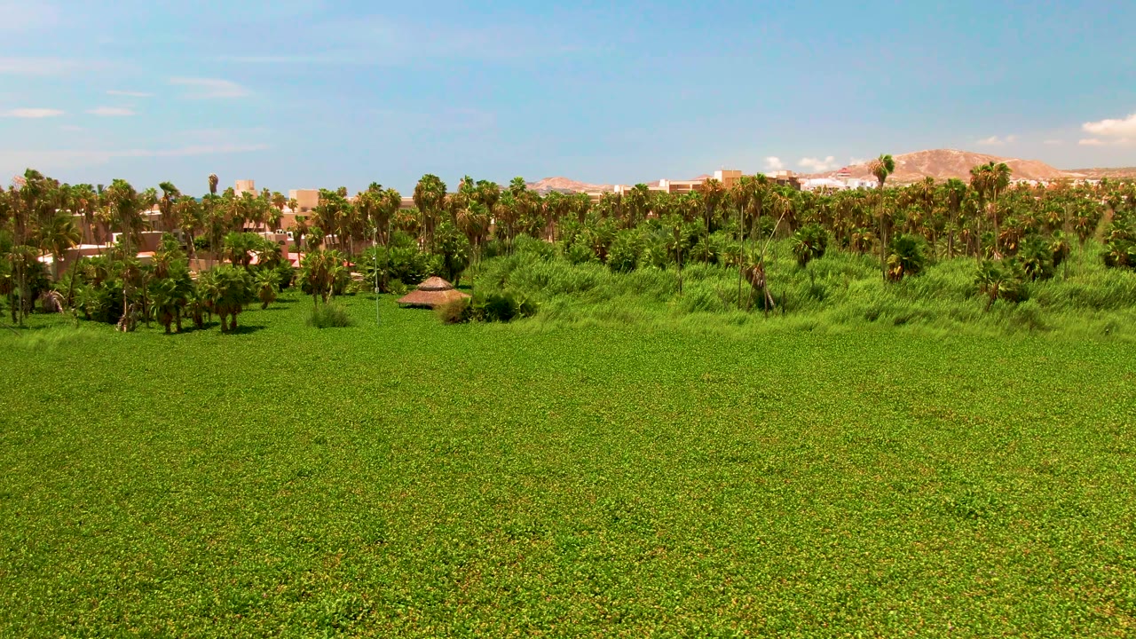 Second frame shows the open green field continuing across the foreground in San Jose del Cabo, with the small hut slightly left of center, palms, low buildings, mountains, and no visible people.
