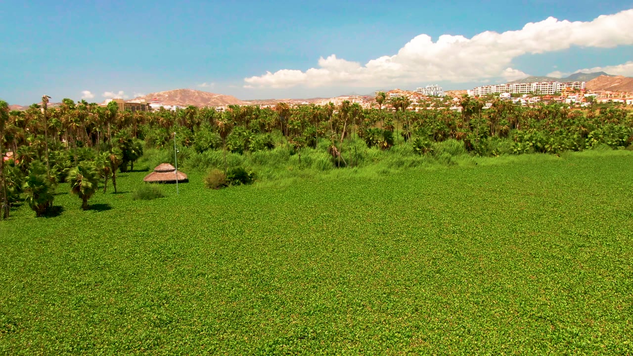 Early frame shows the San Jose del Cabo field stretching across the foreground, with a palm line, a small hut near the left side, distant buildings, hills, and no visible people.