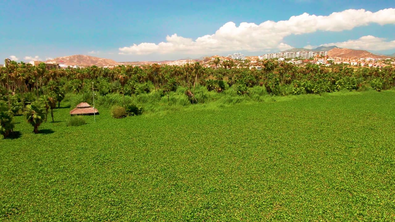Later frame shows the San Jose del Cabo field from above with the small hut near the lower left, palms across the midground, distant development, hills, and no visible people.