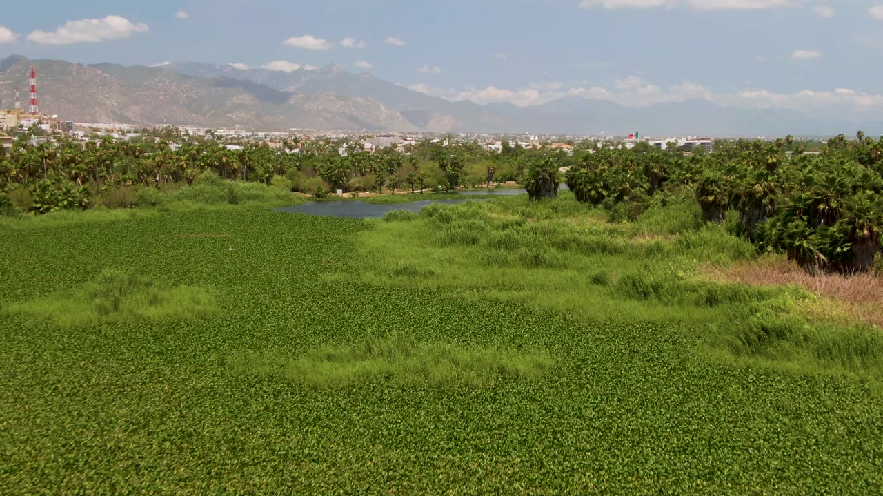 Green field, waterway, trees, and distant mountains