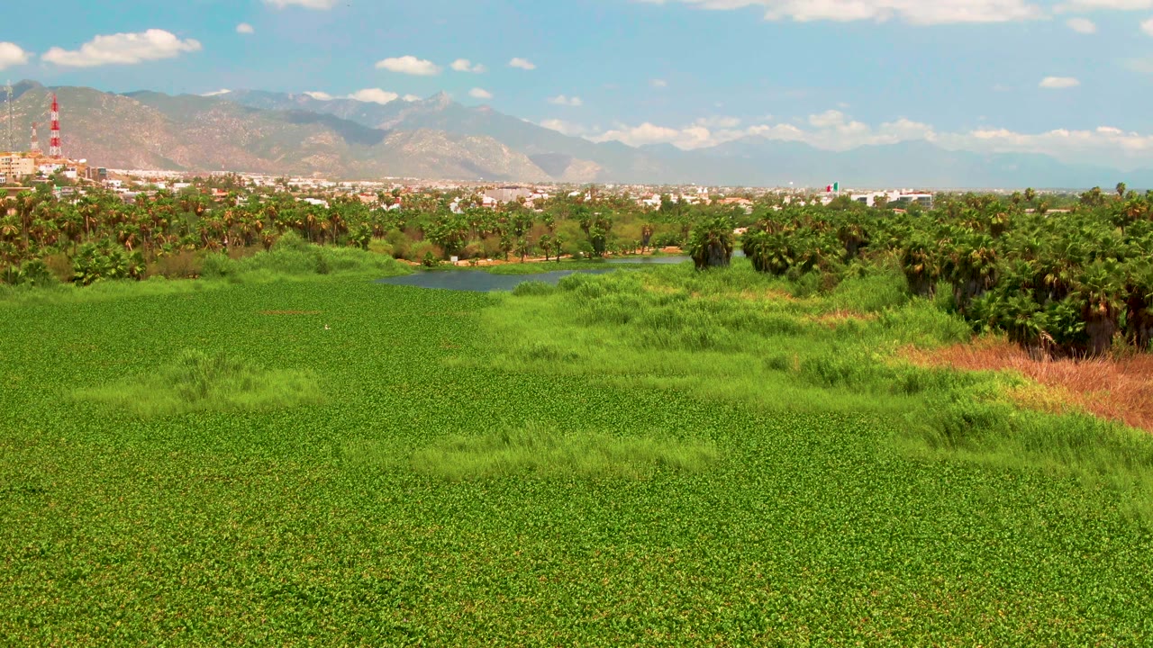 Wide aerial view in San Jose del Cabo with green fields in front, palms and water through the middle distance, a city edge, a red-and-white tower, mountains, and no visible people.