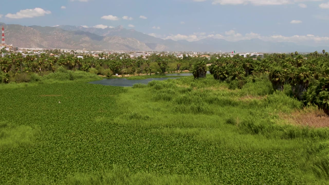 Elevated view over a dense green field in San Jose Del Cabo, with a small pond, tree line, distant mountains, partly cloudy sky, a red-white tower at far left, and no visible people.