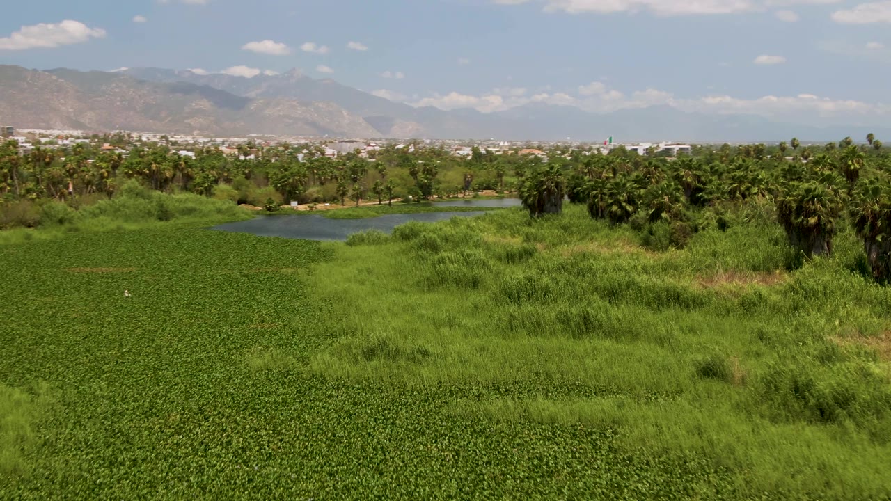 A steady elevated frame in San Jose Del Cabo shows the green field stretching to a pond and tree line, with distant buildings below pale mountains and no visible people.