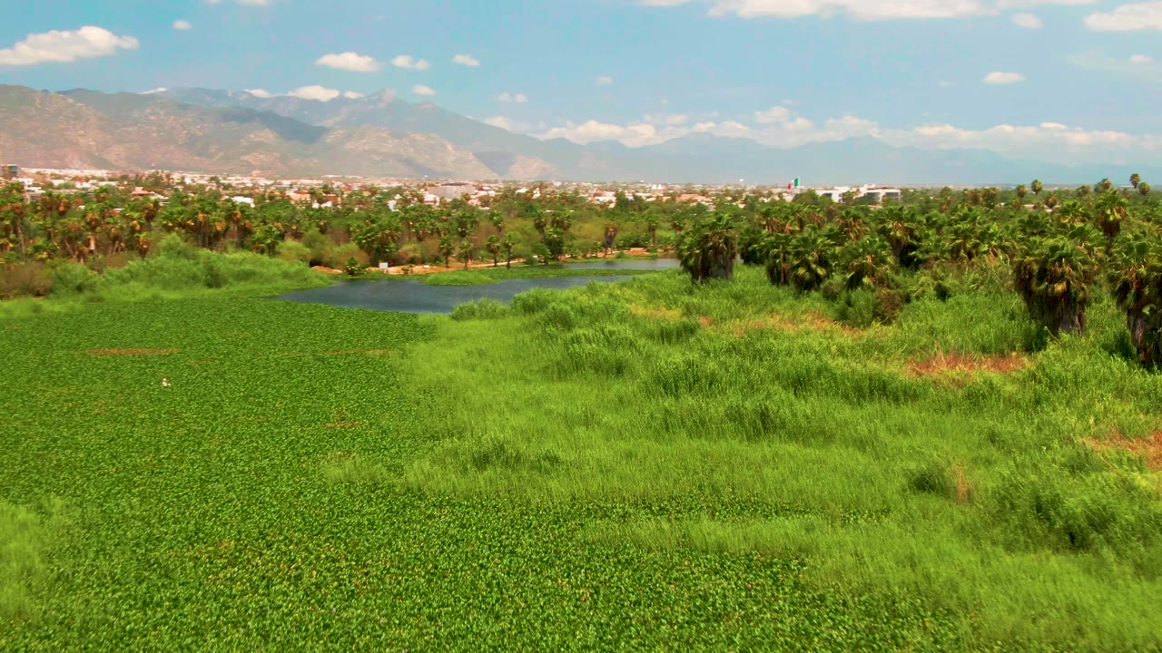 Green field, pond, trees, distant mountains, and blue sky.