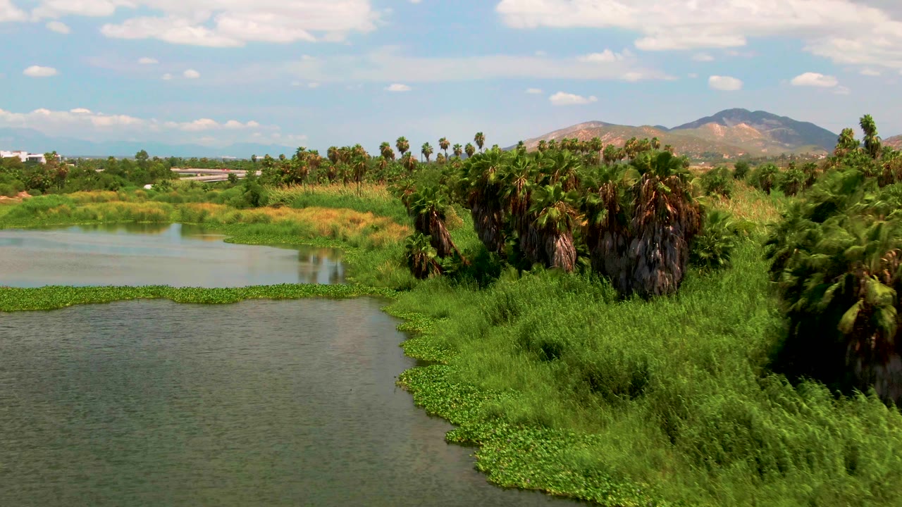 A wider aerial composition shows the waterway on the left, thick palms and brush across the middle, and a mountain ridge under scattered clouds in San Jose del Cabo, Mexico, with no visible people.