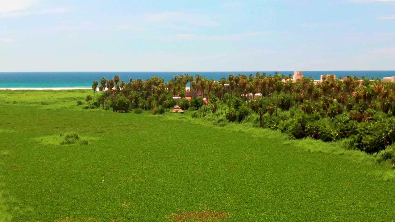 San Jose del Cabo aerial view with open green land filling the foreground, a darker tree line to the right, low coastal buildings, beach surf line, ocean, and no visible people.