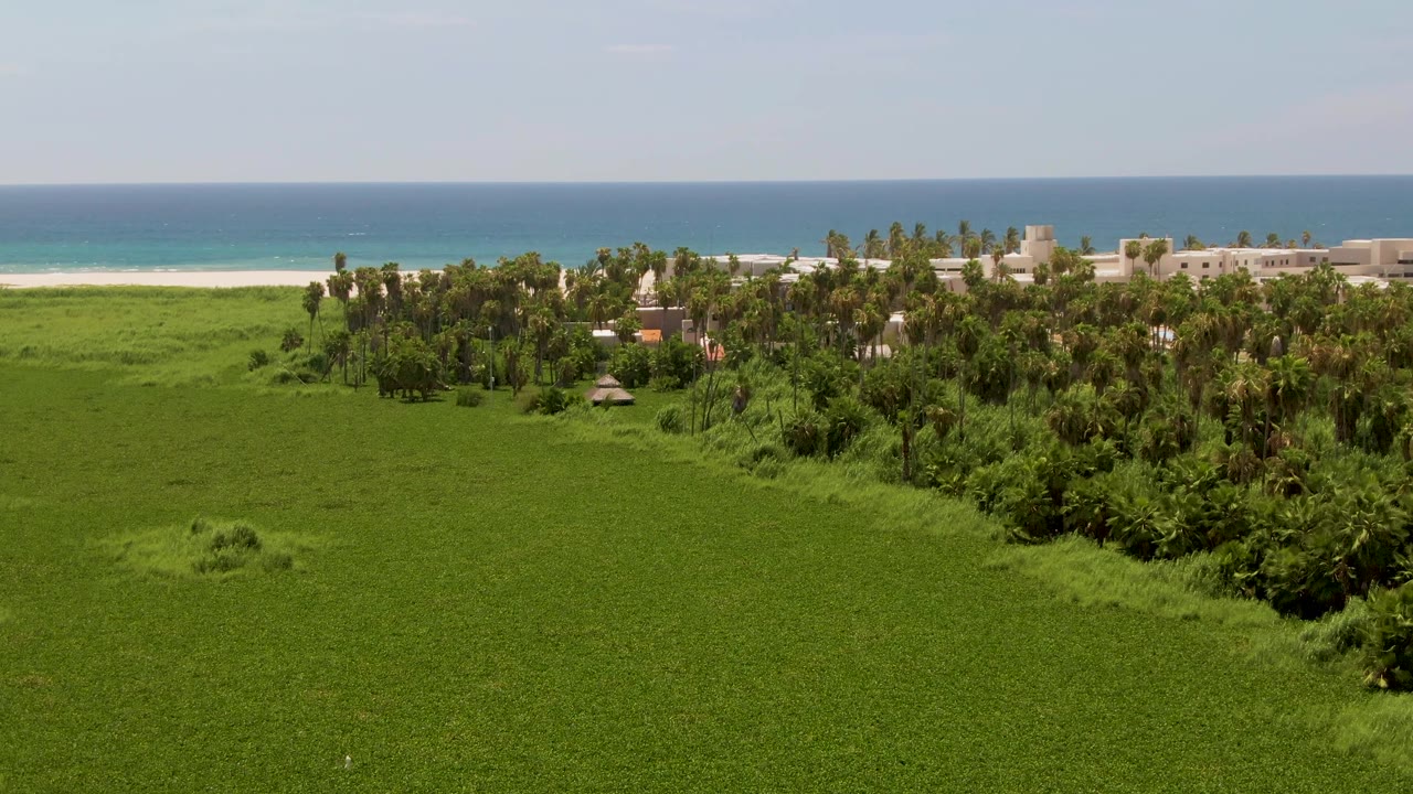 At 0:00, an elevated view in San Jose del Cabo shows broad green fields leading to palms, low buildings, a sandy beach, and blue ocean surf with no visible people.