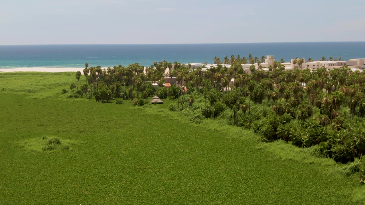 At 0:03, palms and low buildings sit between a large green field and the white sand beach, with blue ocean water and no visible people in the frame.
