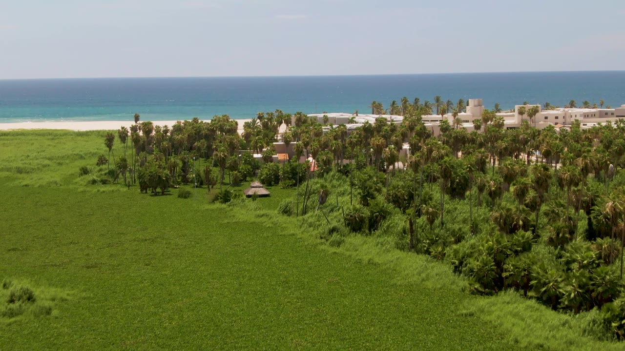 One second into the San Jose del Cabo clip, the view holds on dense green vegetation and palms in front of pale beachfront buildings, sand, ocean, and no visible people.