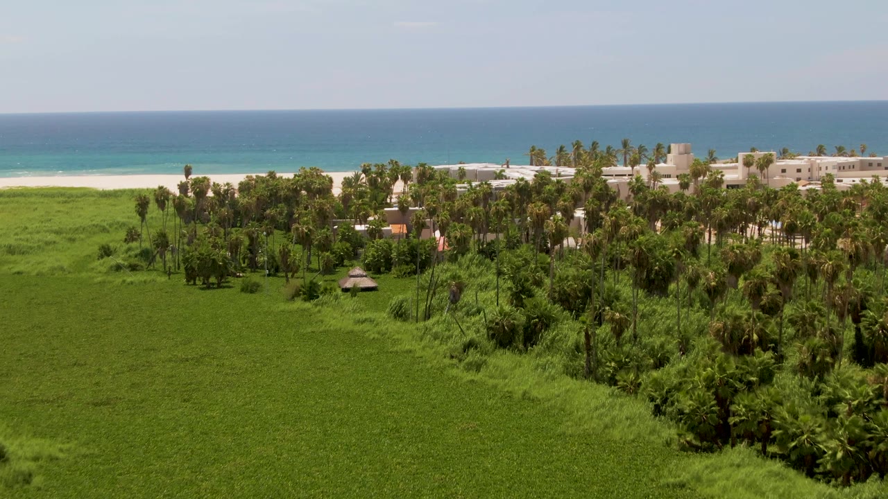 At 0:02, the elevated San Jose del Cabo view centers the open green field with palms and light-colored buildings leading to the beach, ocean horizon, and no visible people.