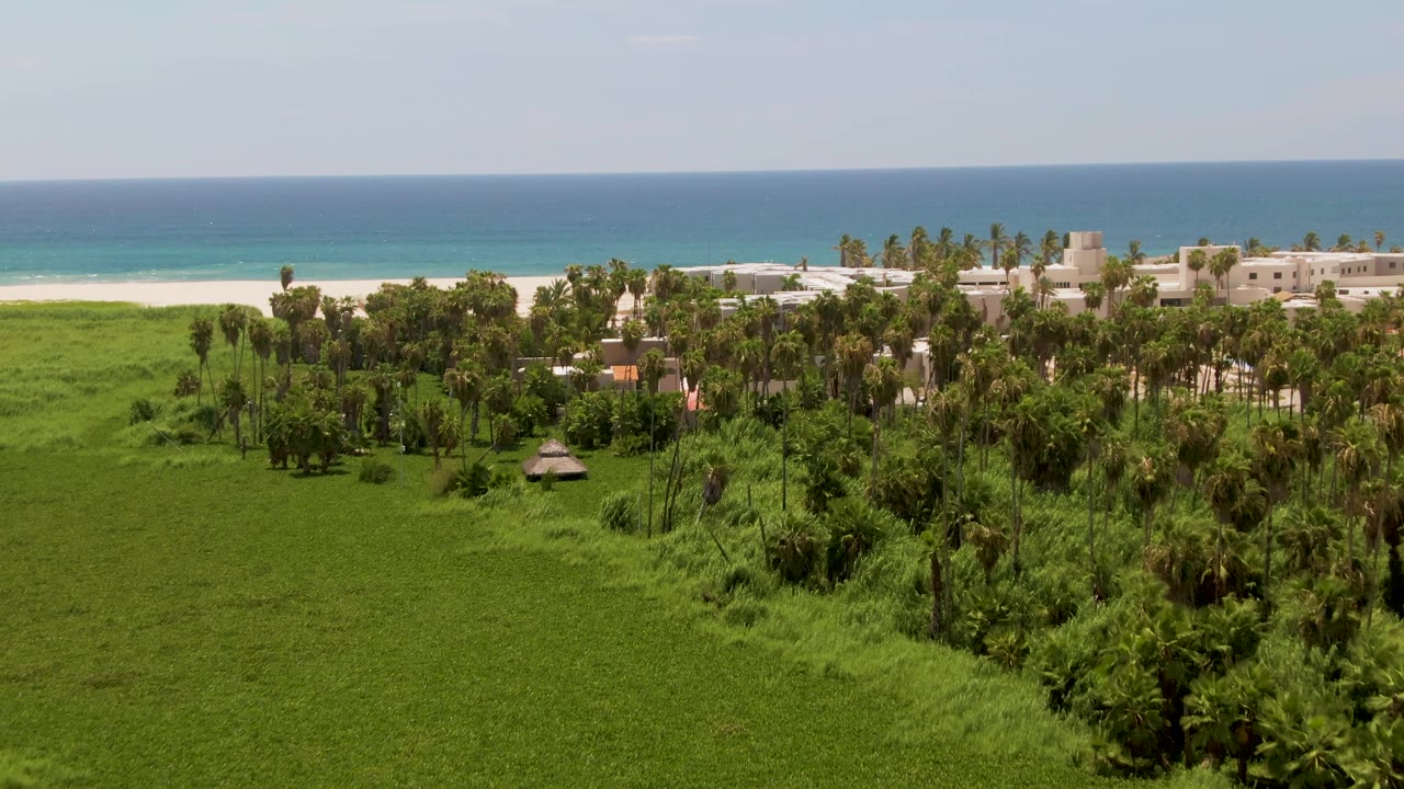 Midway through the clip, the San Jose del Cabo landscape shows a thatched structure in the green field, palm trees, pale buildings, a sandy beach, blue water, and no visible people.