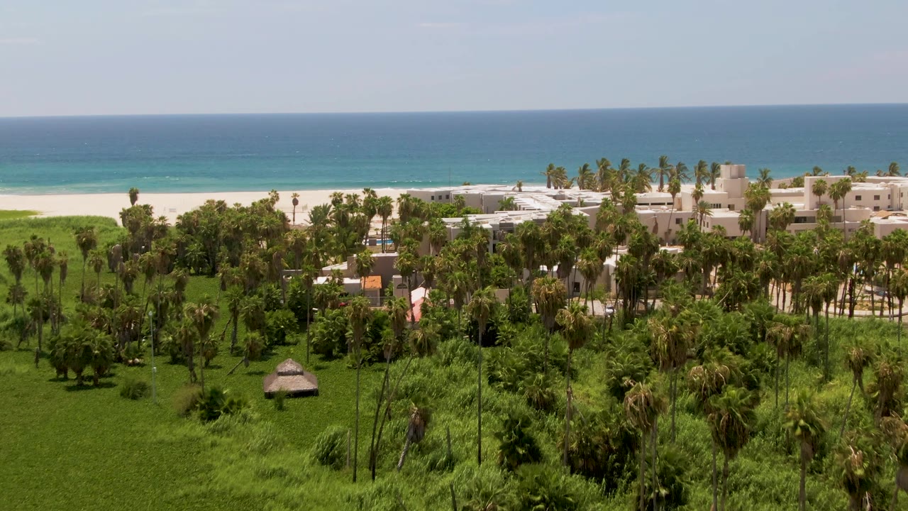 Aerial view in San Jose del Cabo showing layered palms and grass, low coastal buildings near the beach, a bright sand band, blue ocean, and no visible people.