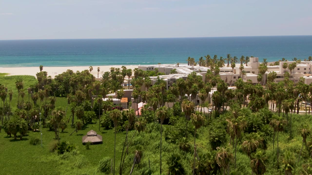 Aerial coastal landscape with palms, small roof structure, buildings, beach, and ocean.