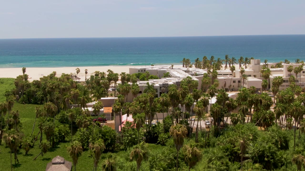 Opening aerial frame over a San Jose del Cabo resort with dense palms in front, white buildings near the sand, blue ocean beyond, and no visible people.