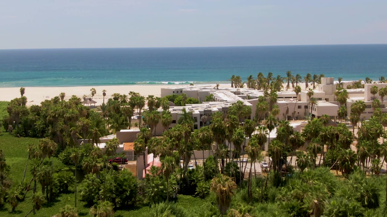 Palm-lined resort complex beside a white sand beach and blue ocean.
