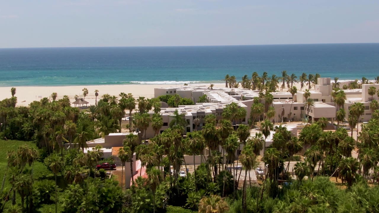 Mid-pan aerial frame in San Jose del Cabo with more white resort structures visible through palm canopies, pale sand behind them, blue water, and no visible people.