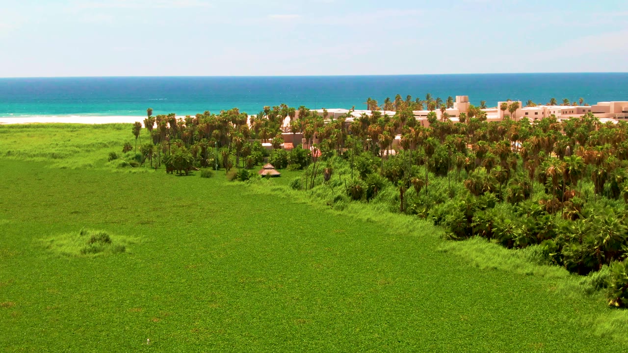 Aerial view in San Jose Del Cabo showing a broad green field in front of palm trees, low coastal buildings, a narrow beach, and blue ocean with no visible people.