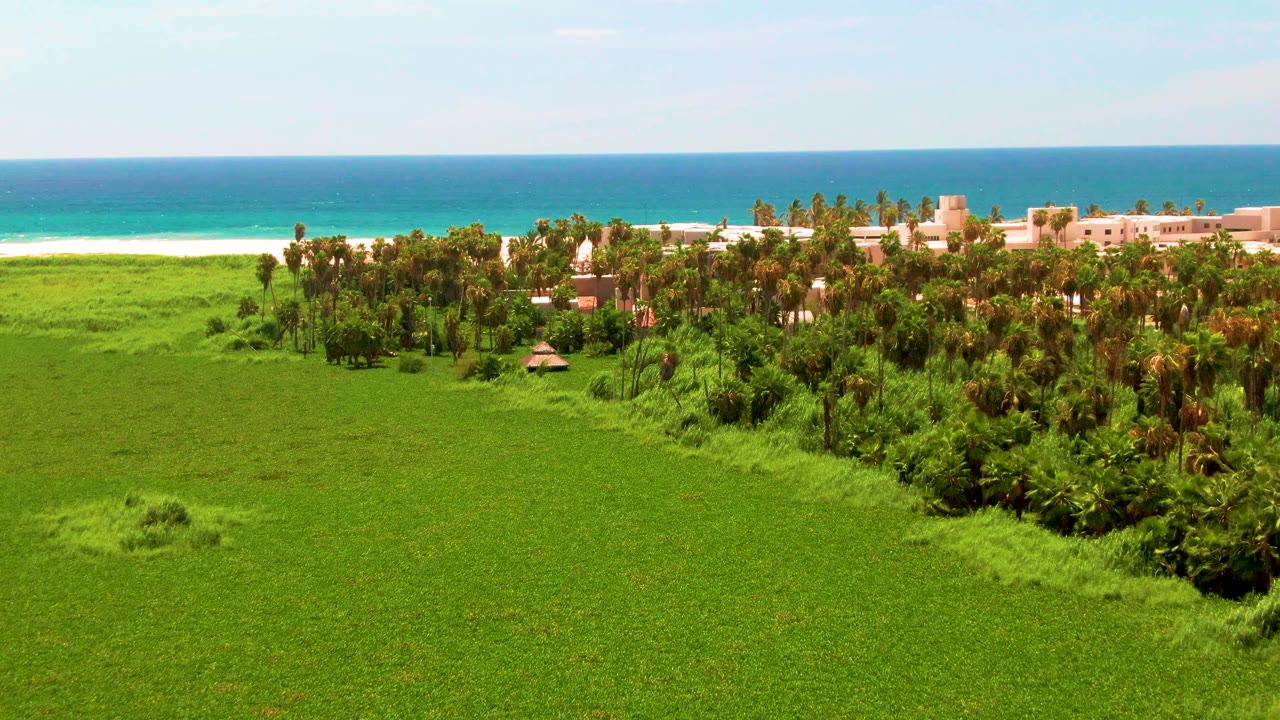 San Jose Del Cabo aerial view with a green field in the foreground, a palm grove along the right side, low buildings beyond the trees, and no visible people.