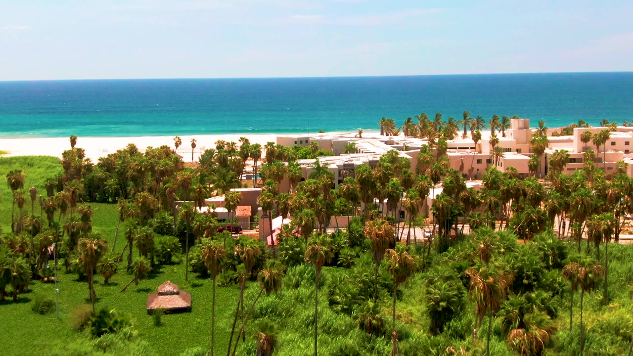 Aerial frame over San Jose del Cabo with dense palm trees in front, pale resort buildings near white sand, blue ocean beyond, and no visible people.