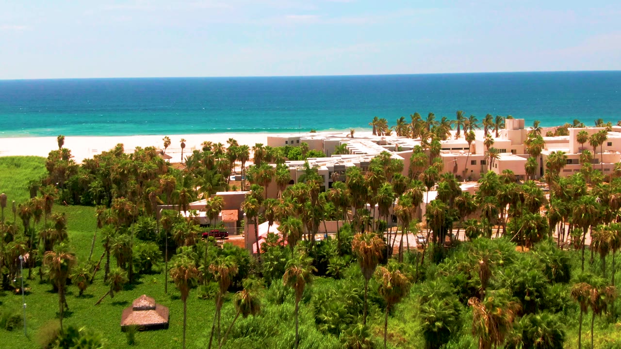 Aerial view in San Jose del Cabo showing palm tops and resort roofs below, a bright white beach strip, turquoise shoreline water, and no visible people.