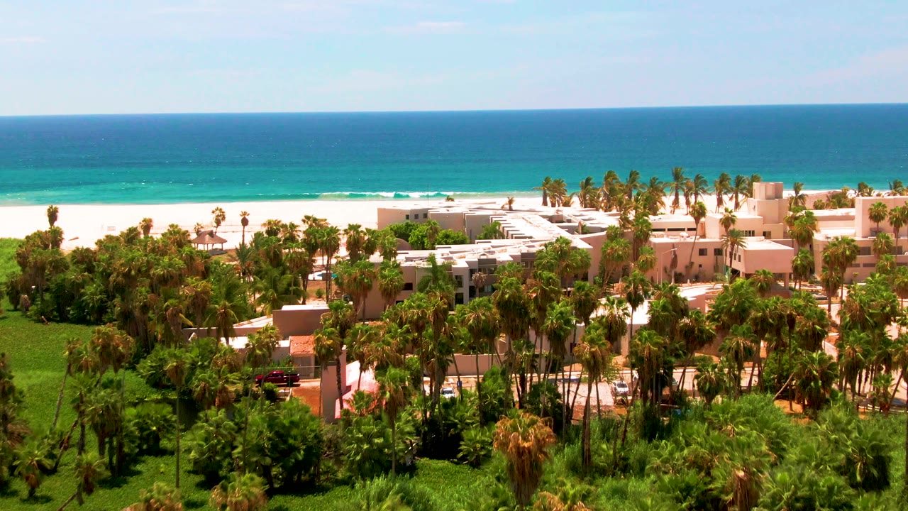 Resort and palm canopy beside bright beach and blue water