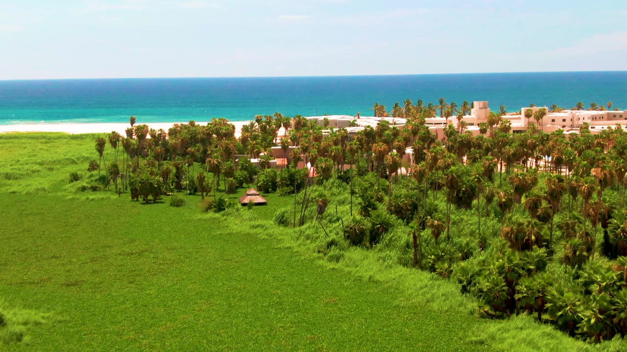 Opening aerial frame over San Jose del Cabo with broad green fields in front, a palm grove and beachfront buildings beyond, blue ocean on the horizon, and no visible people.