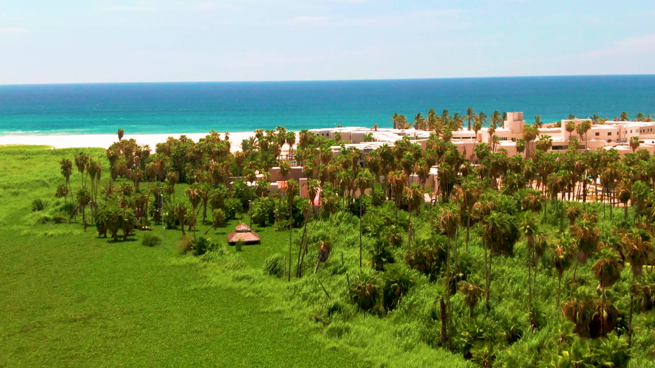 Wide aerial of palms, grass, beachfront buildings, white sand, and blue sea.