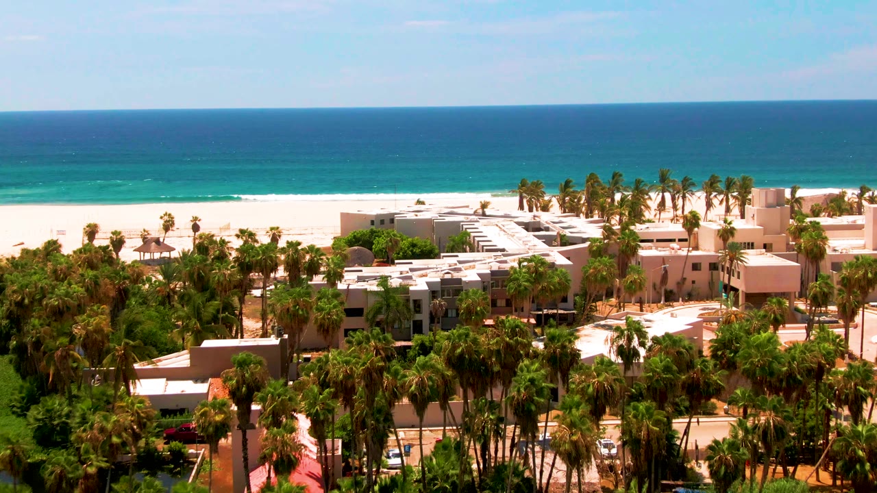 Aerial view of palm trees, beachfront buildings, beach, and blue ocean.
