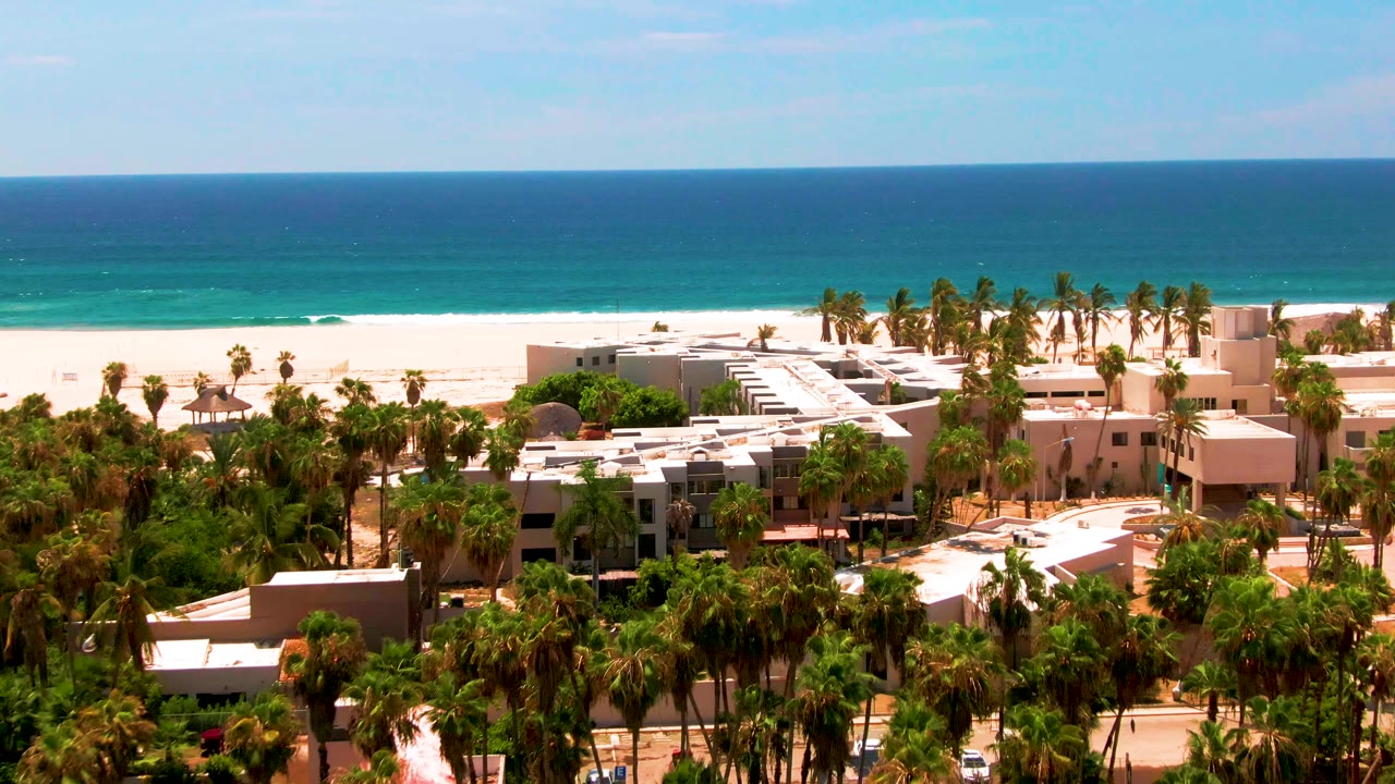 San Jose Del Cabo beachfront view with white roofs and palms in the lower frame, a bright beach beyond, and deep blue ocean across the horizon, with no visible people.